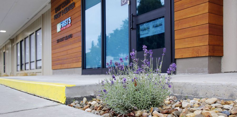 First 5 Contra Costa Tenant Improvements